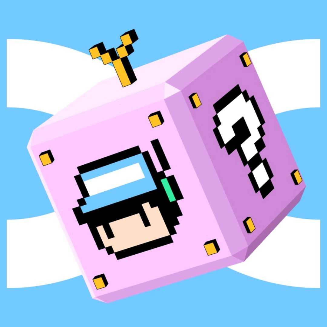 Mockba Trader Trading Signals Strategy BingX Copy Trading