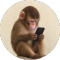 FONE