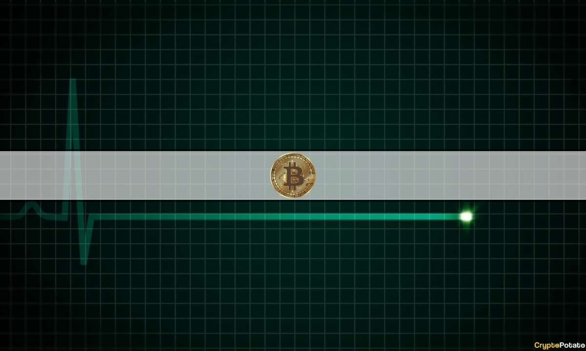 bitcoin_flatline_cover