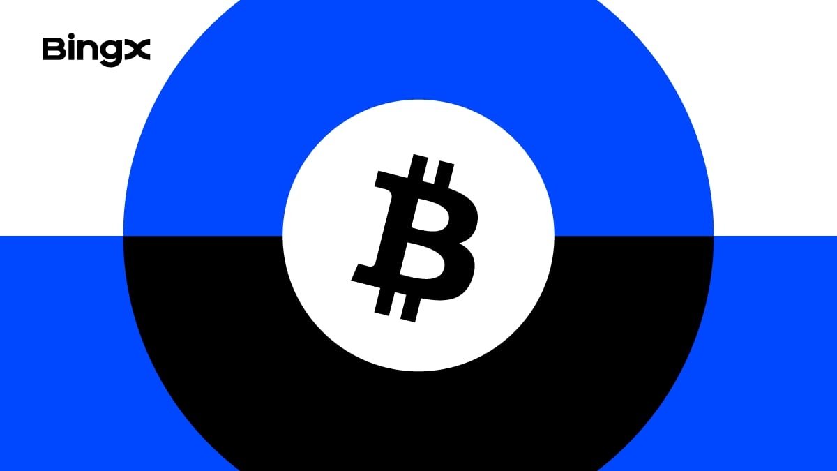 比特幣網絡手續費解釋