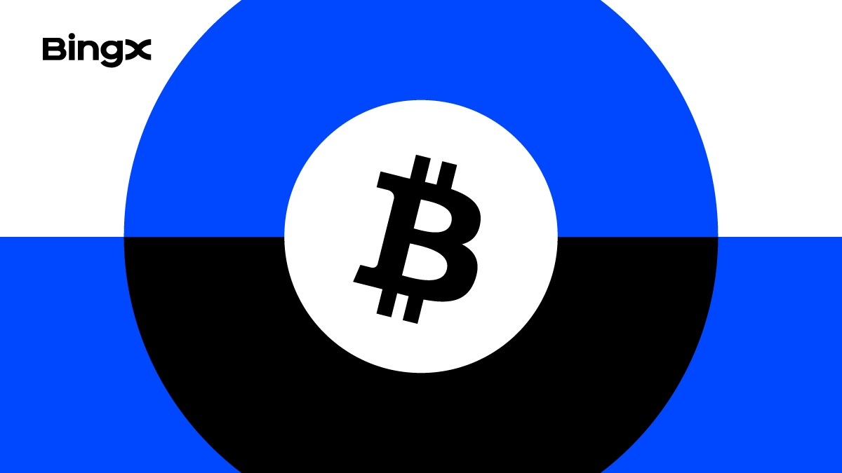 Was ist Bitcoin: Wird nach 2024 zum digitalen Gold