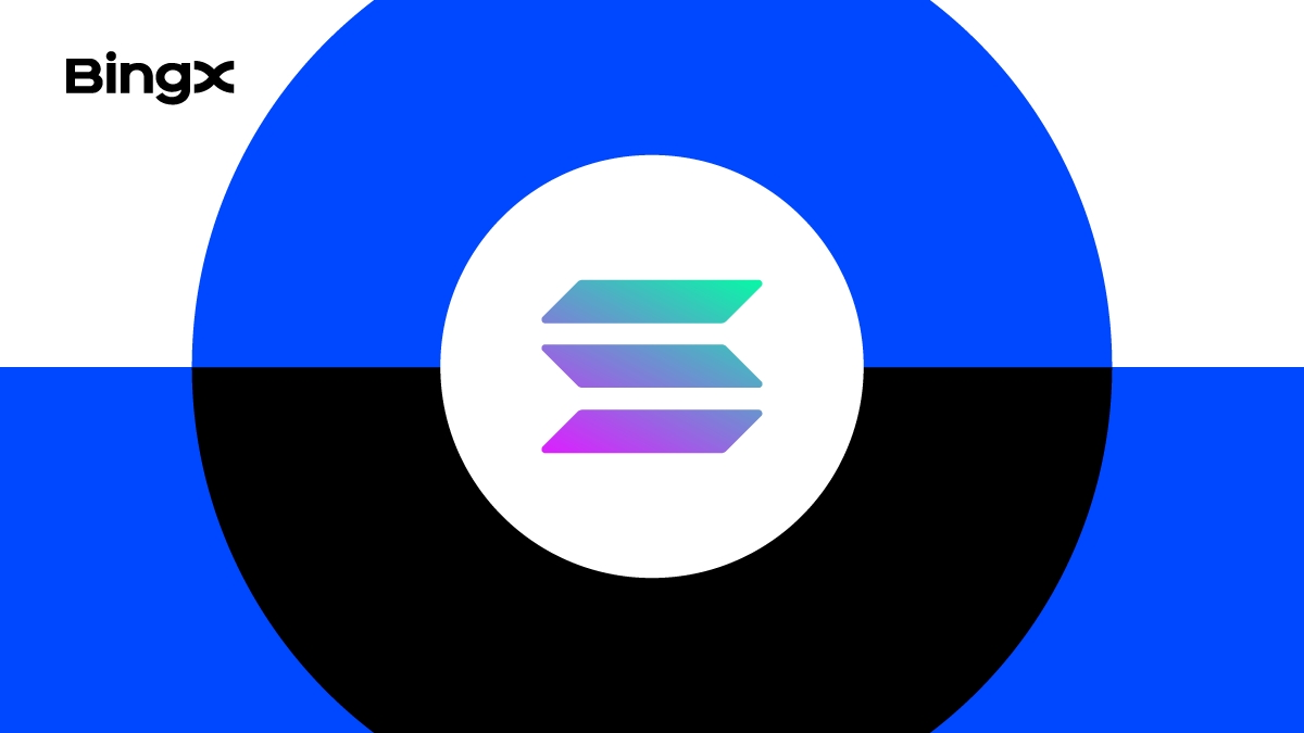 Apa Itu SOL dan Cara Membeli SOL