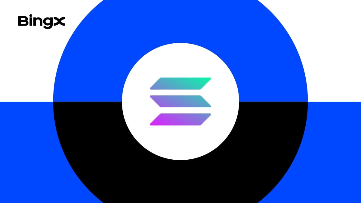 Что такое SOL и как купить SOL