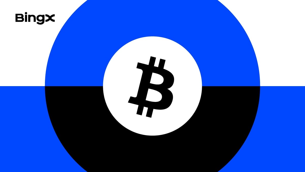 Những dự án BTCFi (Bitcoin DeFi) hàng đầu trong năm 2025 là gì?