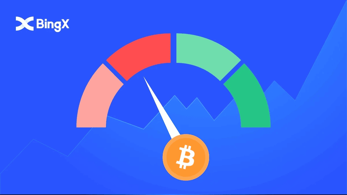 O que é o Índice de Medo e Ganância em Crypto e como operar com ele