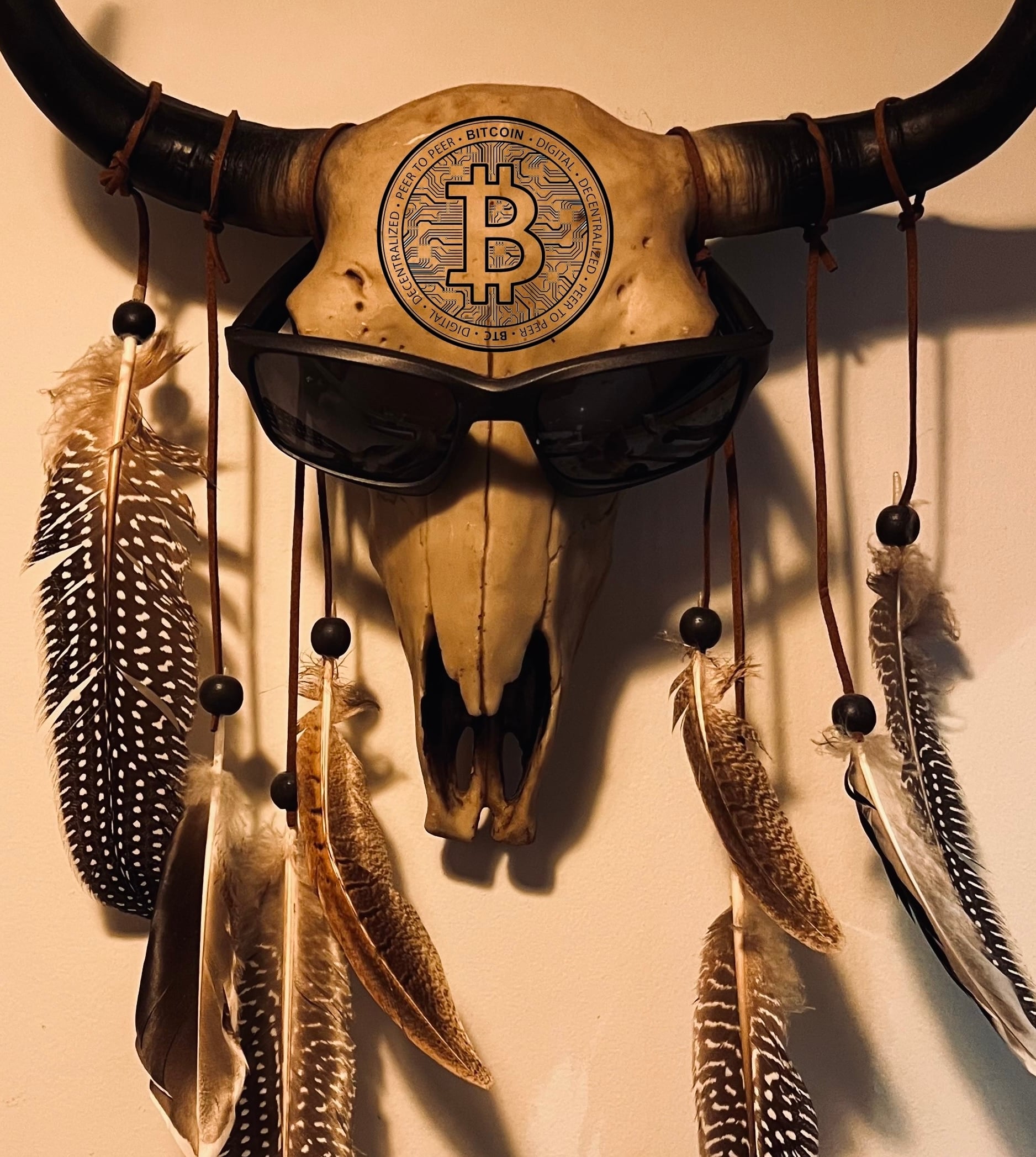 Beyond the Alpha: Celebrando los 40 millones de usuarios