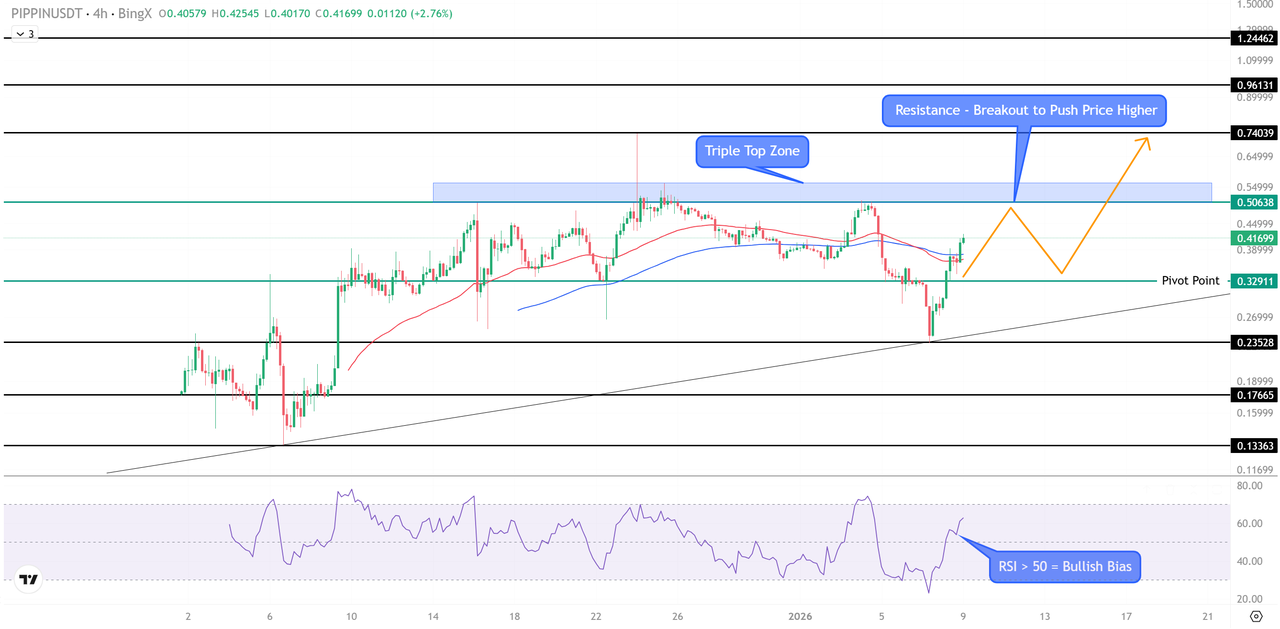 PIPPIN Jumps 46% as AI Memecoin Hype, Whale Accumulation, and Supply  Squeeze Collide on Solana