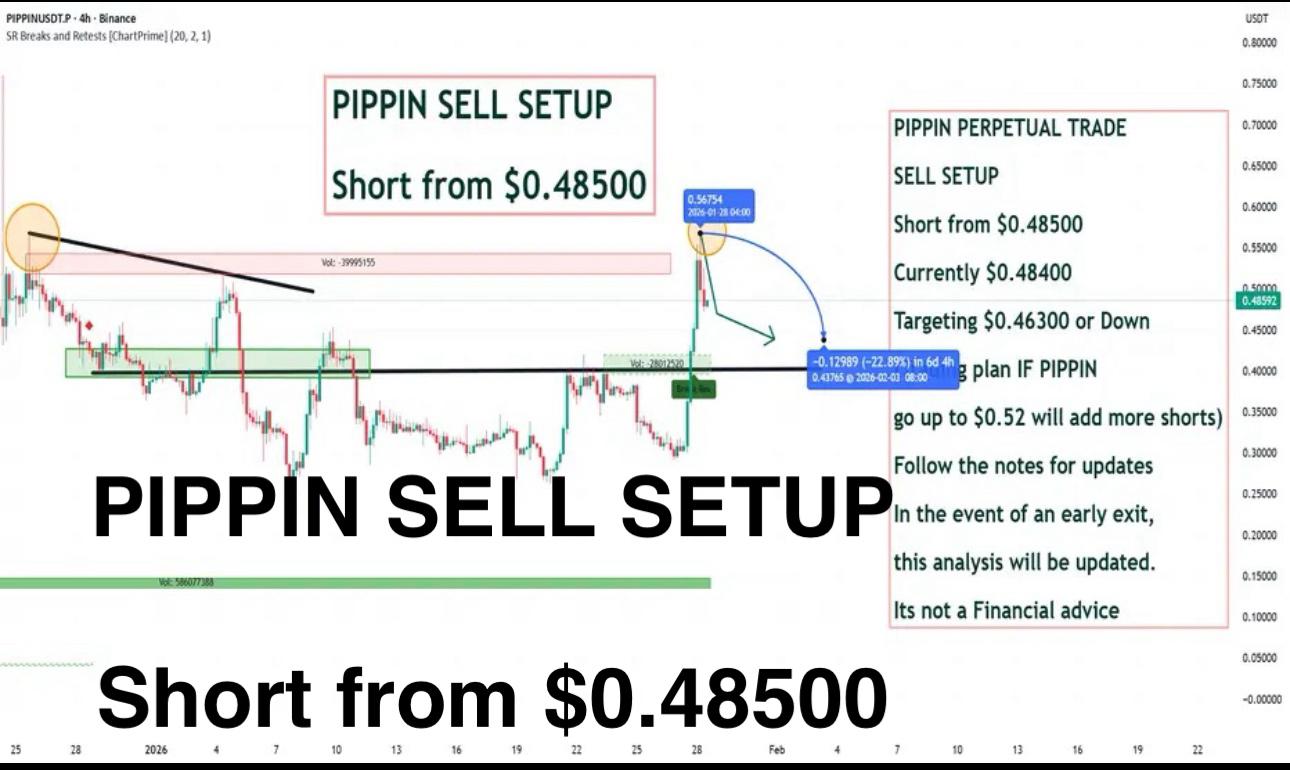 Ethereum Price｜ETH Live Chart, Market Cap and News Today｜BingX