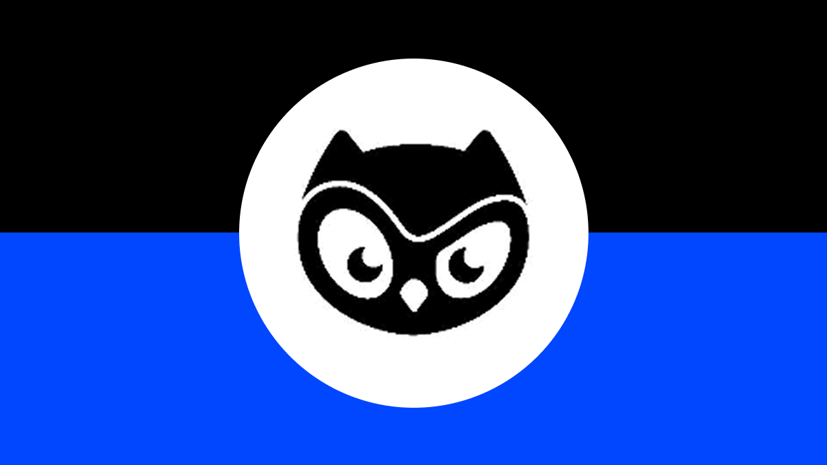 What Is Moonbirds (BIRB) NFT Token on Solana and How Does It Work?