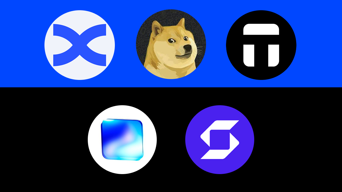 Jakie są 10 najlepszych portfeli Dogecoin do bezpiecznego przechowywania DOGE w 2026 roku?