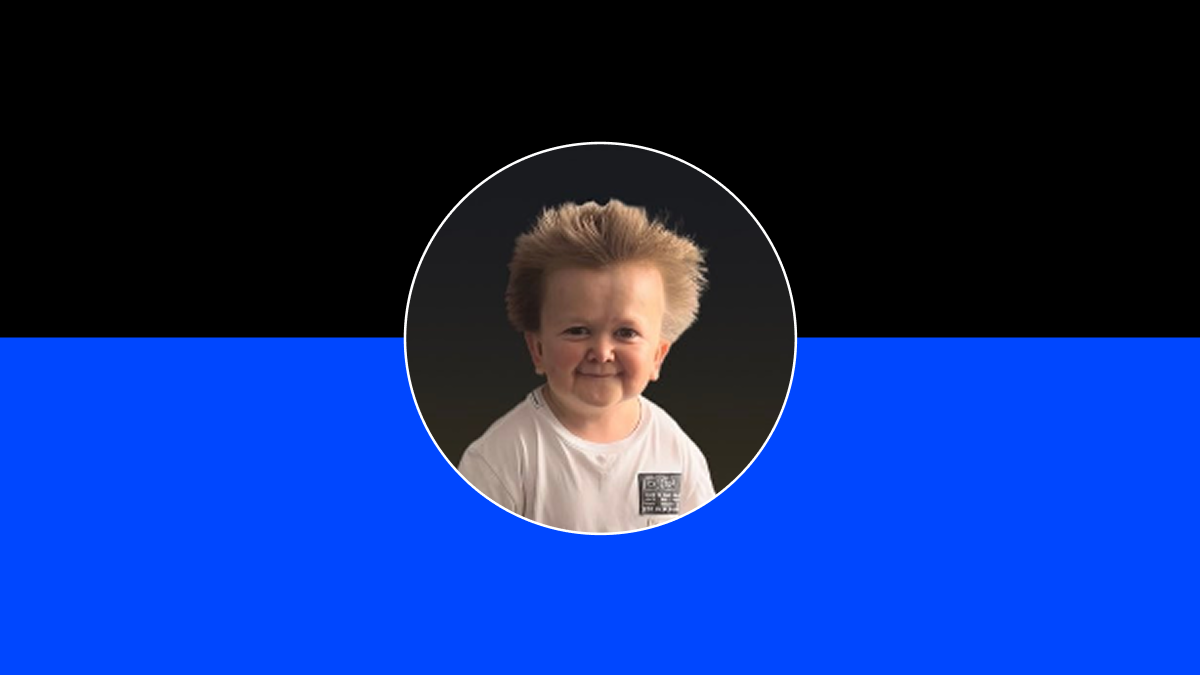 Что такое мемкоин Bulla (BULLA) и где его купить?