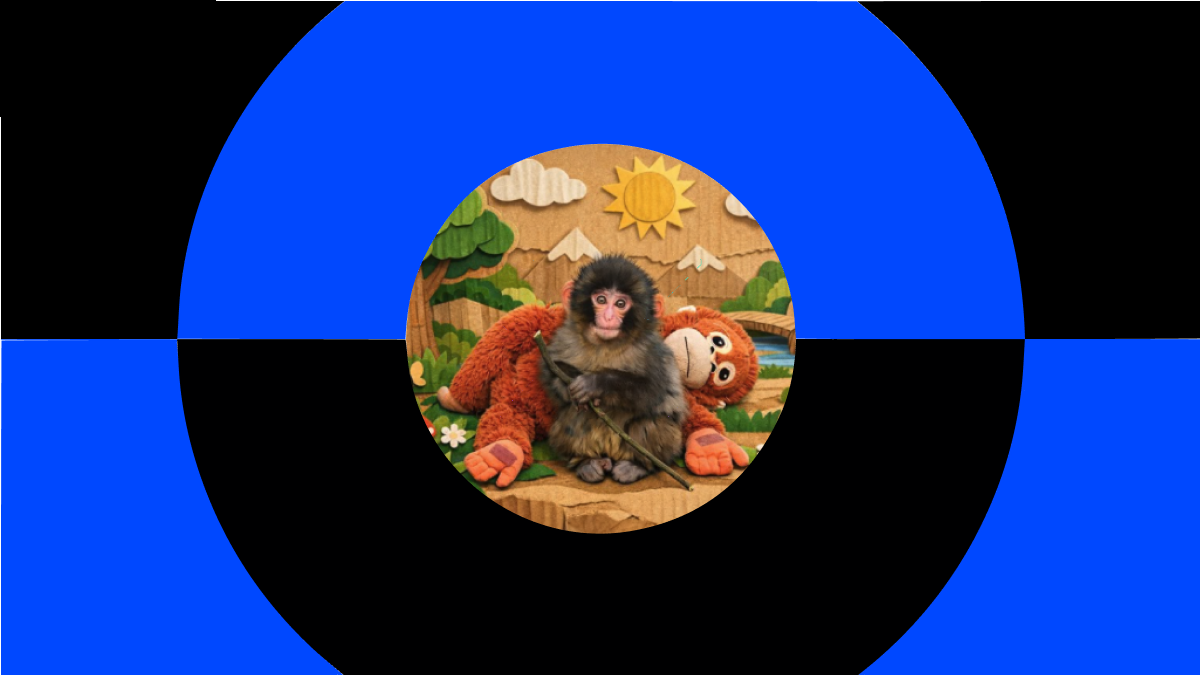 Qu'est-ce que パンチ (PUNCH), le Memecoin viral Solana Snow Monkey et comment le trader ?