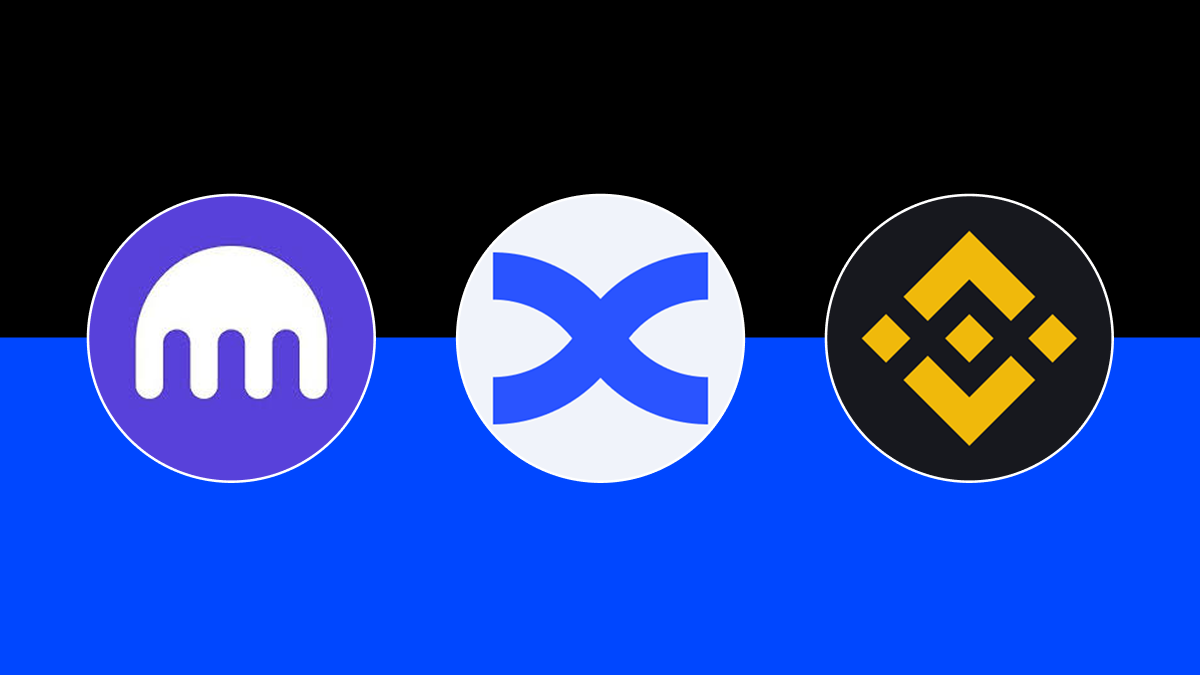 BingX vs Binance vs Kraken: Which Exchange Is Better in 2026?