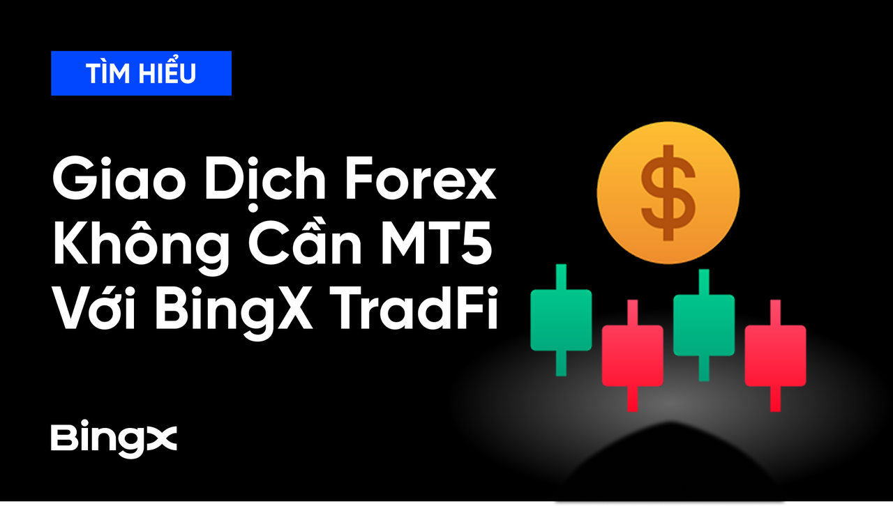 Trải Nghiệm Giao Dịch Hợp Đồng Forex Không Cần MT5 Với BingX TradFi