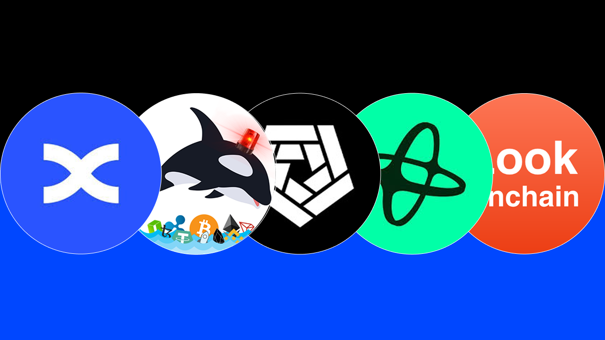 Top 5 Dogecoin Wal-Tracker: Tools, Alerts und Handelsstrategien in 2026