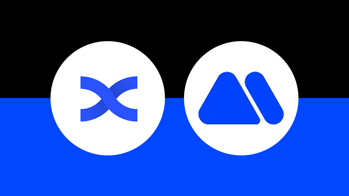 BingX vs. MEXC 2026: Which Is Better for Spot and Futures Trading? Pros, Cons and Fees Compared