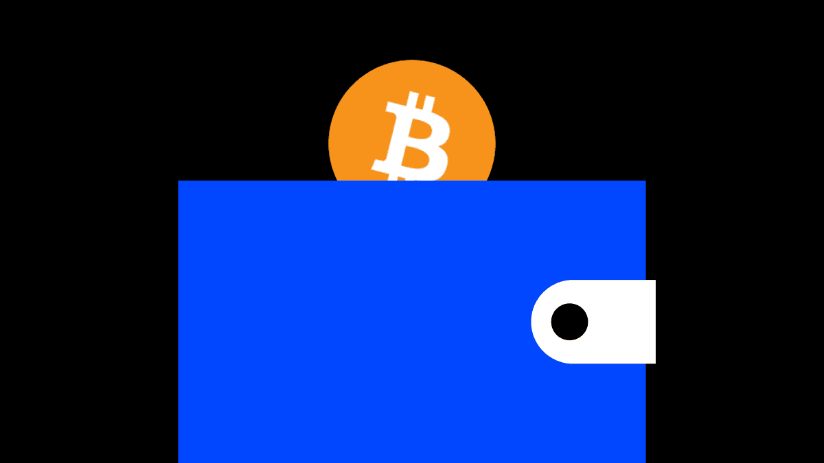 Jak powinieneś bezpiecznie przechowywać Bitcoin? Portfel giełdowy vs Portfel gorący vs Portfel zimny