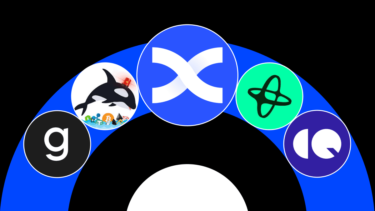 I Migliori Strumenti per Monitorare l'Attività delle Balene Cripto su Più Monete nel 2026