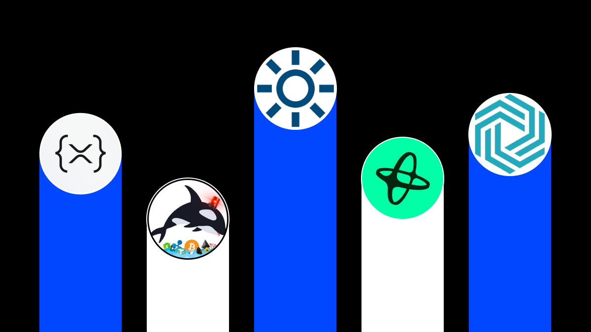 Найбагатші XRP-адреси 2026: Гід по китах та рівнях володіння