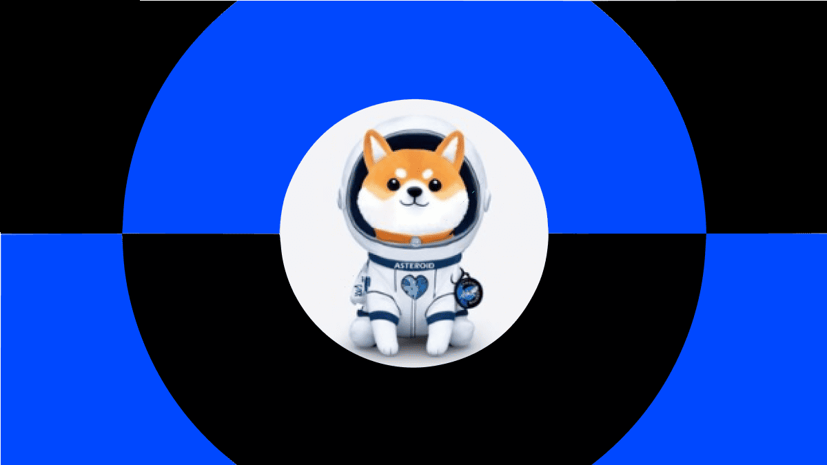 Asteroid Shiba (ASTEROID) คืออะไร? เหรียญมีมแรงบันดาลใจจาก Musk และ SpaceX