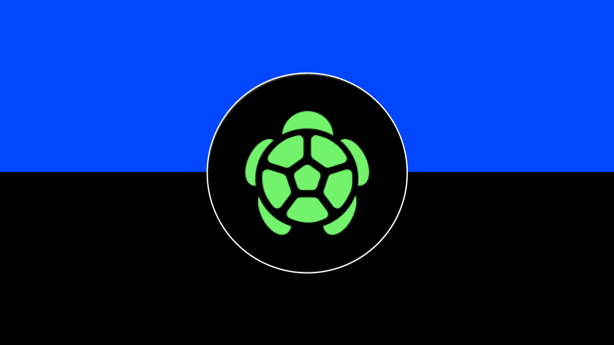 What Is Turtle (TURTLE) Web3 Liquidity Distribution Protocol and How to Trade on BingX?