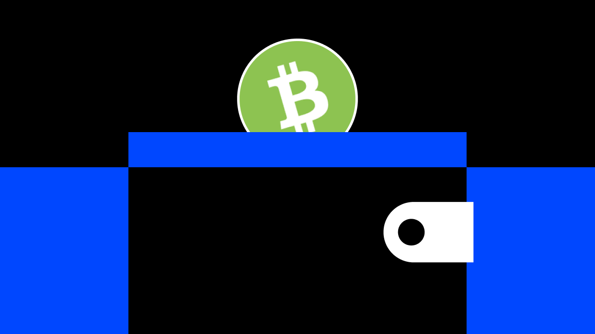 What Are the Best Bitcoin Cash (BCH) Wallets to Use in 2026? 