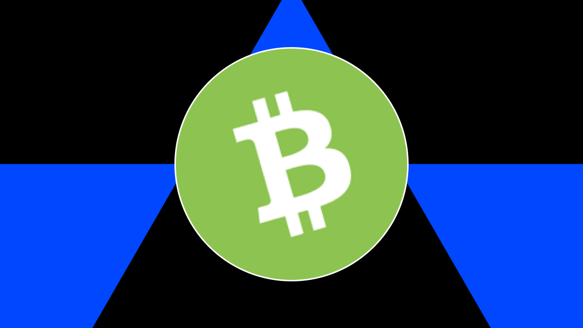 การทำนายราคา Bitcoin Cash (BCH) ปี 2026: การหันเหของ Layla CashVM เทียบกับกำแพงของ TradFi ETFs