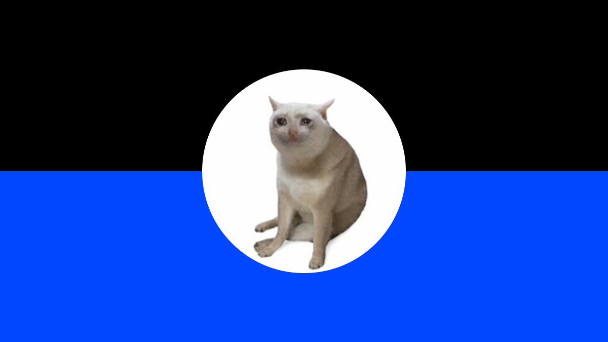 What Is Cash Cat (CASHCAT)? A Beginner’s Guide to the Robinhood Chain Meme Coin in 2026
