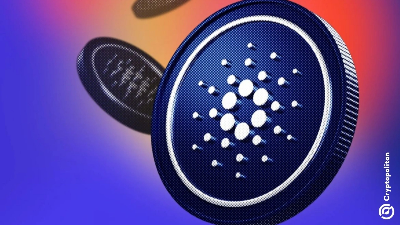 Cardano whales accumulate 454.7M ADA worth $161M as small investors cut  exposure