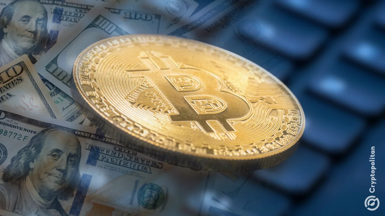 Bitwise/VettaFi 2026 survey finds 99% of advisors plan to keep or increase  crypto