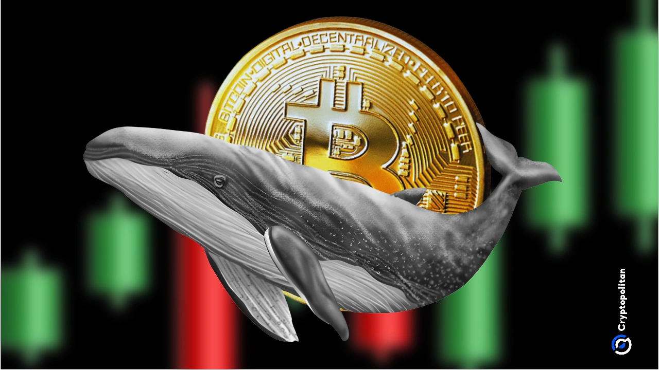 Binance Bitcoin whale inflows plunge $5.14B as analysts track Fear and  Greed shift