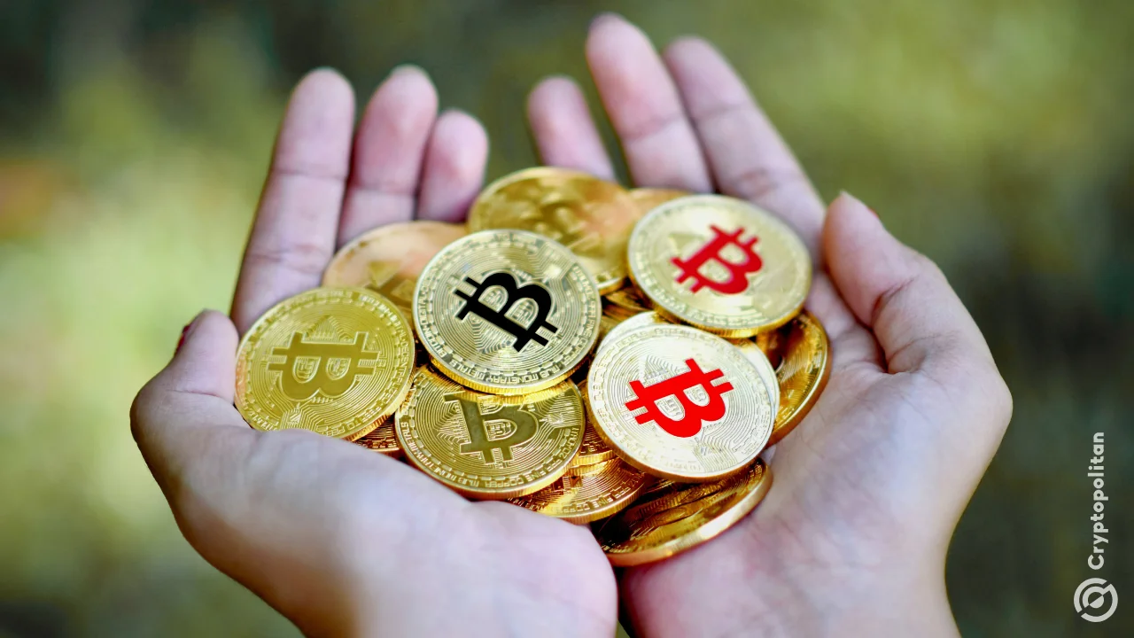 South Korean charities seek one-click crypto giving amid six-step process