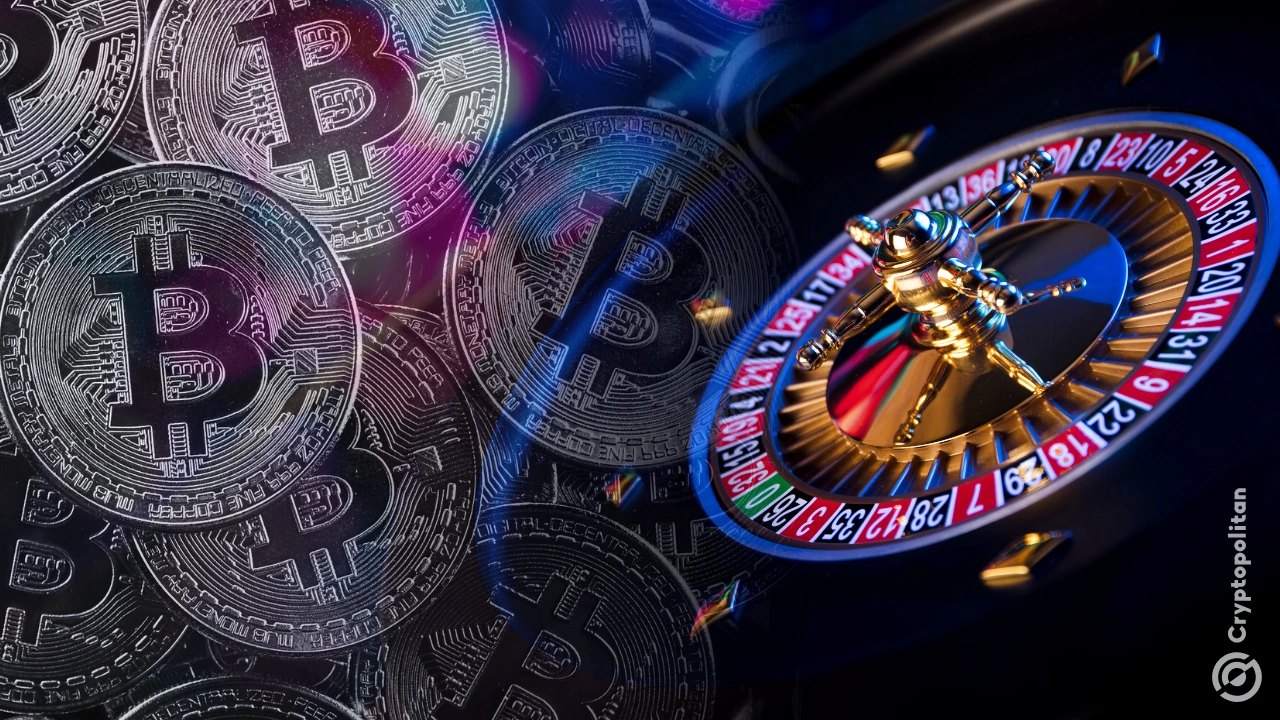 Articles by Brian Koome: Crypto News & Expert Market Analysis | BingX