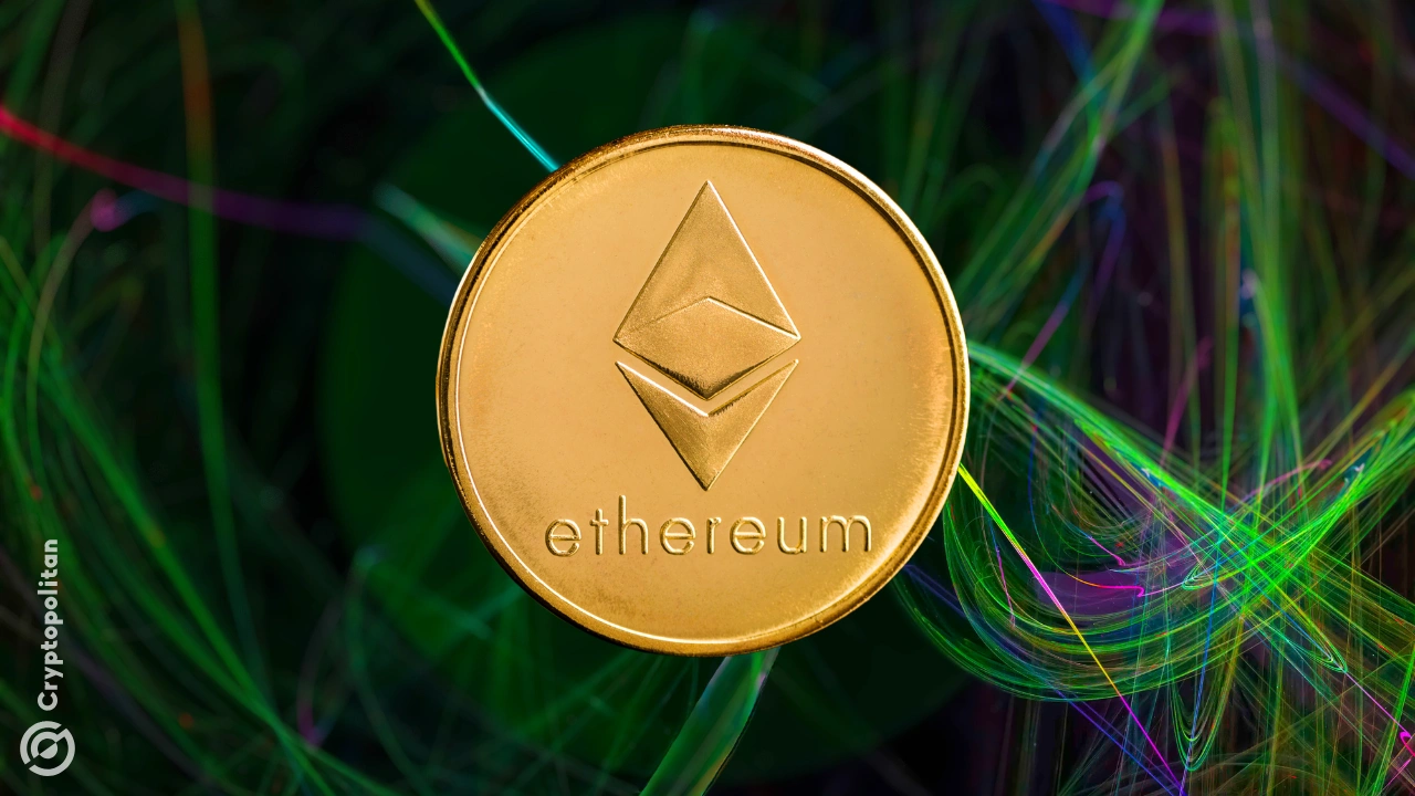 BlockSec 報告多鏈合約遭利用，代幣授權漏洞導致逾1,700 萬美元損失